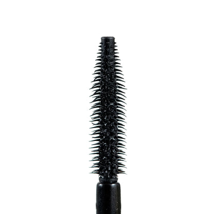 Pestañina Flash Lash